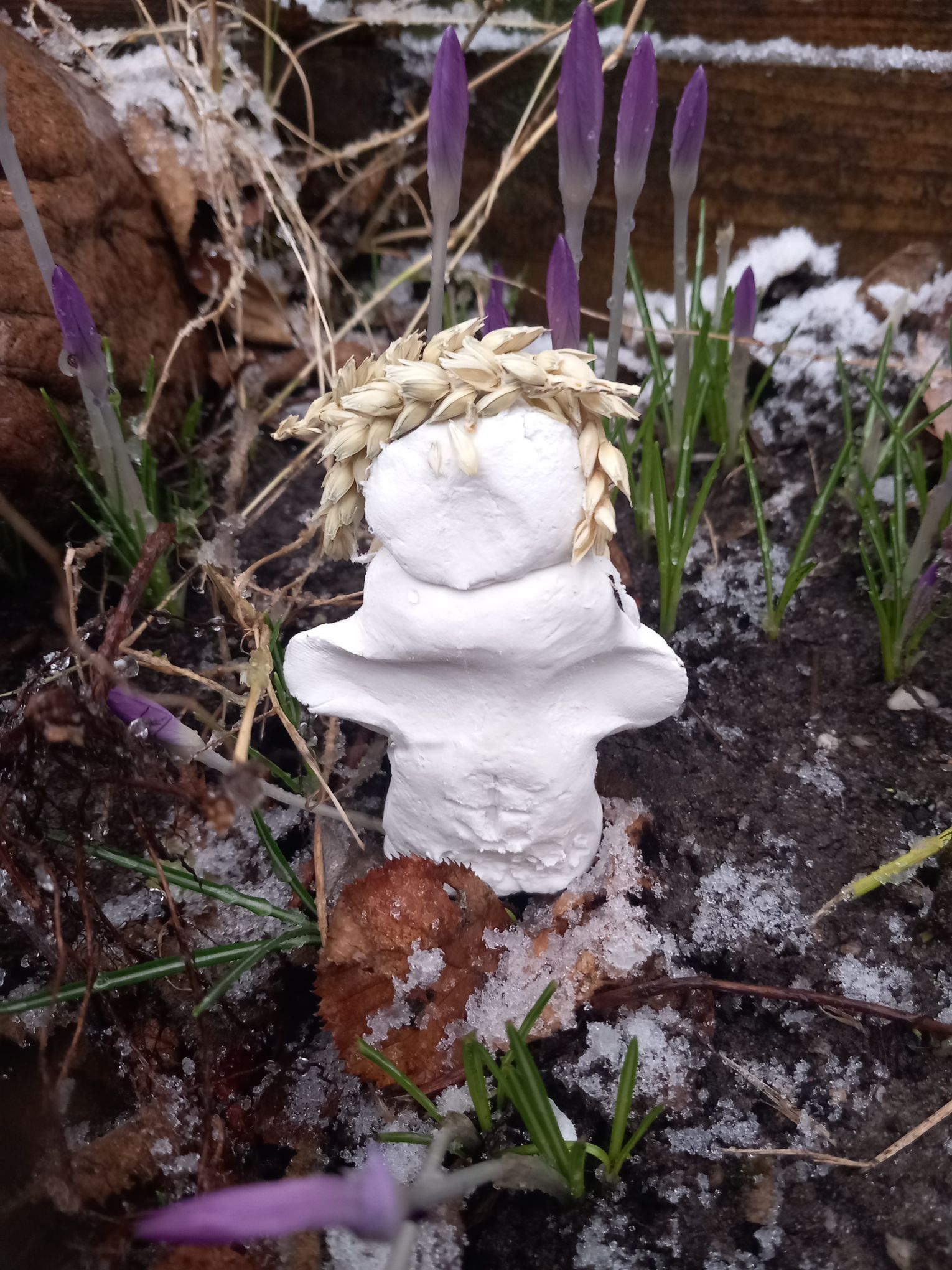 Februari ( De overgang van winter naar lente)